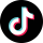 TikTok Icon