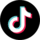 TikTok Icon